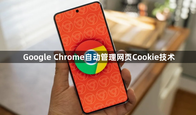 Google Chrome自动管理网页Cookie技术1