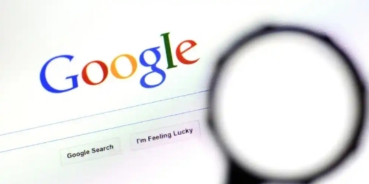 google浏览器文件格式区别及兼容性分析