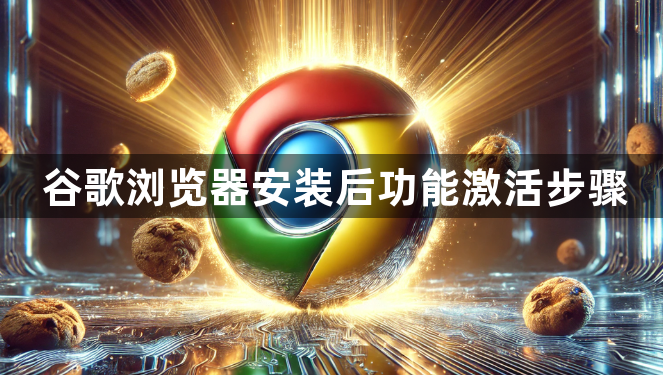 谷歌浏览器安装后功能激活步骤1