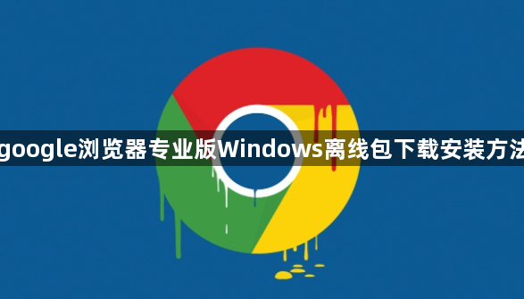 google浏览器专业版Windows离线包下载安装方法1