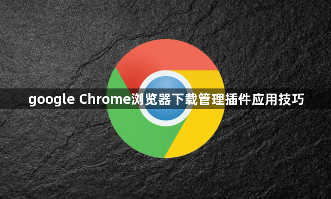 google Chrome浏览器下载管理插件应用技巧1