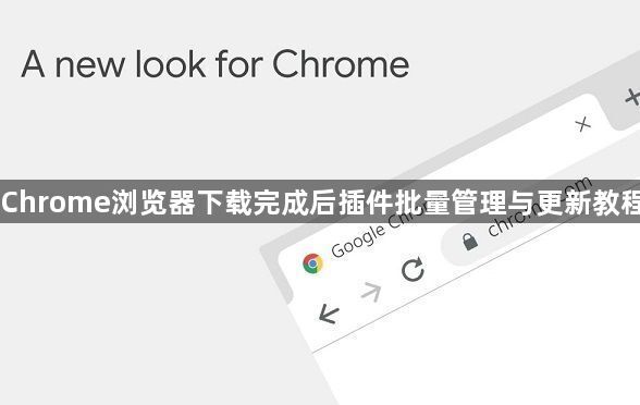 Chrome浏览器下载完成后插件批量管理与更新教程1