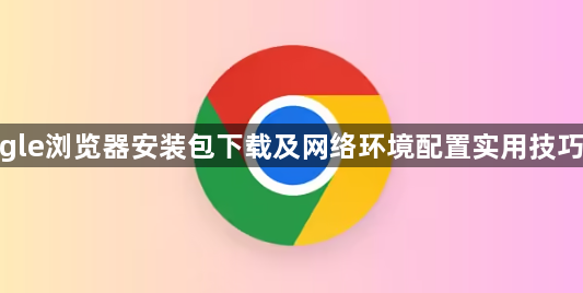 google浏览器安装包下载及网络环境配置实用技巧总结1