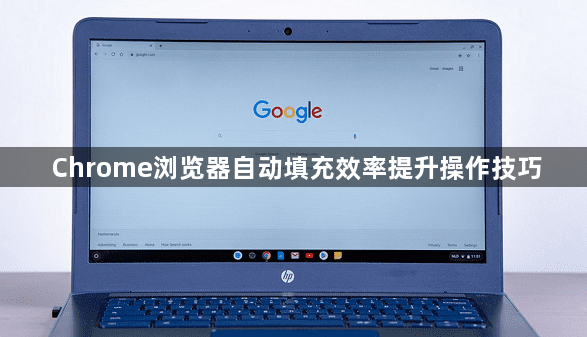 Chrome浏览器自动填充效率提升操作技巧1