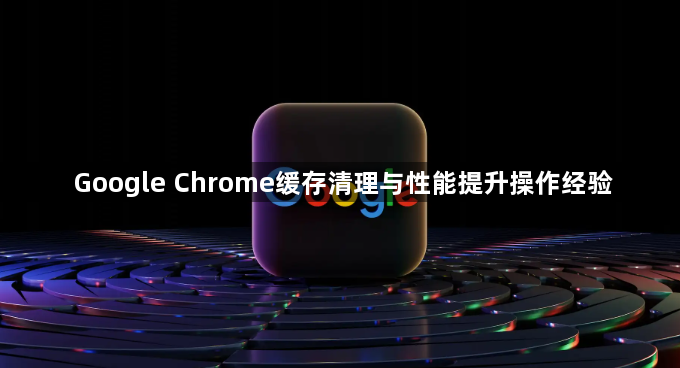 Google Chrome缓存清理与性能提升操作经验1