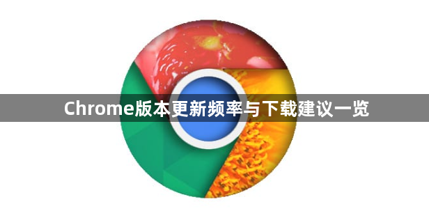 Chrome版本更新频率与下载建议一览1