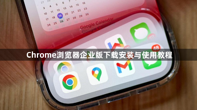Chrome浏览器企业版下载安装与使用教程1
