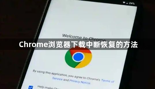 Chrome浏览器下载中断恢复的方法1