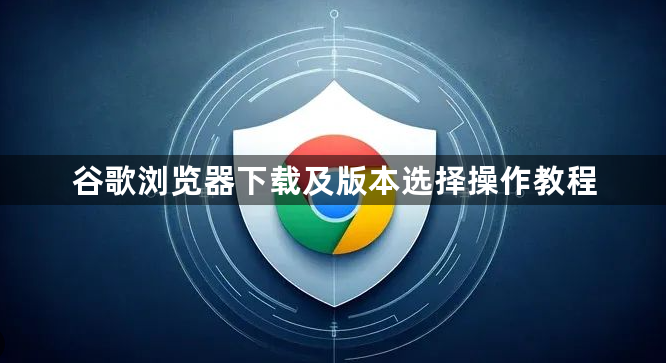 谷歌浏览器下载及版本选择操作教程1